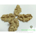 Walnut Kernels Light Color Quarters Gift van God